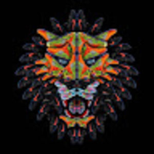 Meet your Posher, Fanatic650